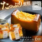 西海みかん チーズケーキ 6個