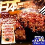 ハンバーグ 特選ハンバーグ 150g×5個