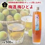 梅酒 500ml