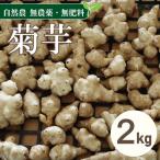 自然農 菊芋 約2kg