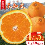 約 4kg