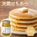 はちみつ 山都物語 瓶 600g
