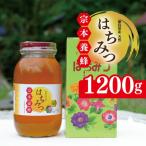 はちみつ 瓶詰 1200g