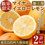 加工用 露地マイヤーイエローレモン 2kg