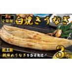 うなぎ 白焼き 3枚