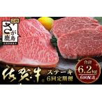佐賀牛A5ランク 大還元祭 総重量5.7キロ+500g肉の女王ヒレ…
