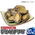 上五島産養殖ひとく アワビ 活 厳選 20個