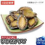 上五島産養殖ひとくちアワビ 活 厳選 20個