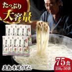 五島うどん 250g×30袋