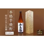 明治之芋 五島灘 1800ml×1本
