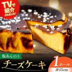 チーズケーキ 塩あんのう ケーキ スイーツ