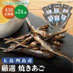 3ヶ月に1回お届け 焼きあご 100g×6袋