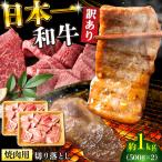 訳あり A4-A5 長崎和牛 焼肉切り落とし 500g×2
