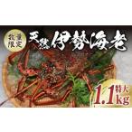 特大天然活き伊勢海老1尾 1.1kg