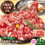 A4-A5 長崎和牛 切り落とし 500g×2