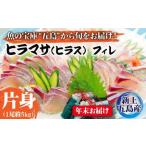 養殖 ヒラマサ ヒラス 片身フィレ 九州 長崎