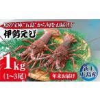 伊勢海老 1 3尾