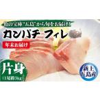 養殖 カンパチ 片身フィレ 九州 長崎