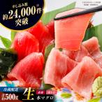生本マグロ 赤身 中トロ 計約500g マグロ