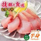 産養殖ヒラマサ ヒラス 片身フィーレ ヒラマサ