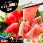五島列島産養殖生本かみマグロ 赤身 中トロ