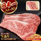 五島牛サーロインステーキ 牛肉 約200g×3枚