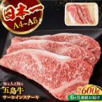 五島牛サーロインステーキ 牛肉 約200g×3枚