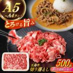 五島牛切り落とし約500g 五島牛 切り落とし