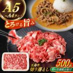 五島牛切り落とし約500g 五島牛 切り落とし