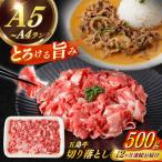 五島牛切り落とし約500g 五島牛 切り落とし