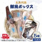 五島列島鮮魚ボックス5種 鮮魚 鮮魚セット