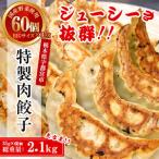 ふるさと納税 餃子専門店 宇都宮 悟空 特製肉餃子60個入 | 餃子 冷凍 ぎょうざ ギョーザ 名物 惣菜 国産野菜 国産豚肉 おかず 弁当 晩ご飯 晩.. 栃木県宇都宮市