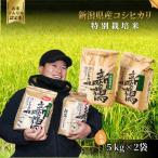 コシヒカリ 玄米 10kg