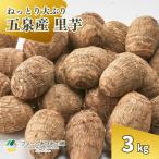 里芋 3kg