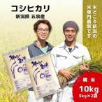 令和8年産 米 10kg