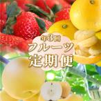 いちご 土佐文旦 梨 fruit 苺 フレッシュ
