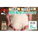 ふるさと納税 【先行予約】【令和7年産 新米】減農薬・減化学肥料の特別栽培コシヒカリ 白米 5kg 農家直送 福井県大野市産 福井県大野市