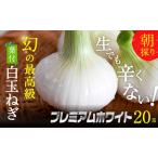 fu.... налог Hamamatsu .. производство [ лист есть новый рисовые клецки лук порей ] premium белый 20 шар [A класса товар L шар ] овощи лук репчатый tama лук-батун префектура Shizuoka город Hamamatsu 