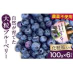 fu.... налог [2026 год предшествующий предварительный заказ ] прекрасный лошадь. крупный голубика (100g×6 упаковка ) {2026 год 6 месяц сверху .-2026 год 9 месяц сверху ... отгрузка } голубика голубой.. Tokushima префектура прекрасный лошадь город 