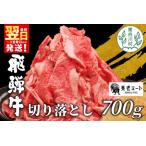 ふるさと納税 【最短発送】 飛騨牛 切り落とし 700g 牛肉 切り落し 切落し こま切れ 肉 牛 肉じゃが すき焼き しゃぶしゃぶ 養老ミート 10000.. 岐阜県東白川村