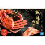 ふるさと納税 かに 訳あり 期間限定 茹で 越前ガニ 約1kg以上2〜3杯 ボイルカニ ボイル 魚介 魚介類 福井県若狭町