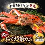 越前ガニ かに 茹で 越前がに 約2kg以上3