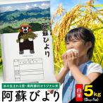 白米 精米 阿蘇びより 5kg