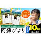 ふるさと納税 阿蘇びより 無洗米 10kg (5kg×2袋)《7-14日以内に出荷予定(土日祝除く)》 |国産米 人気米 熊本県産米 お米 生活応援米 熊本県南阿蘇村