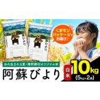 白米 精米 阿蘇びより 10kg
