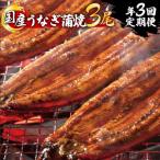 うなぎ蒲焼 3尾セット 合計600g以上