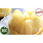ふるさと納税 間城農園 土佐文旦10kg (家庭用)(2L〜4Lサイズ) - 期間限定 高知産 土佐文旦 柑橘 フルーツ 文旦 ぶんたん ブンタン 果物 文旦 家.. 高知県香南市