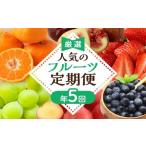 ふるさと納税 【定期便/年5回】JAむなかた厳選！人気フルーツ定期便【JAむなかた ほたるの里】_HB0164 福岡県宗像市