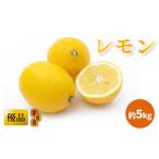 瀬戸内海の島レモン 優品 約5kg