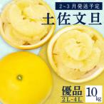 ふるさと納税 【2月上旬から発送】文旦フルーツ10kg優品2L?4Lフルーツフルーツフルーツフルーツフルーツフルーツフルーツフルーツ 高知県須崎市
